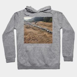 Whale bones Hoodie